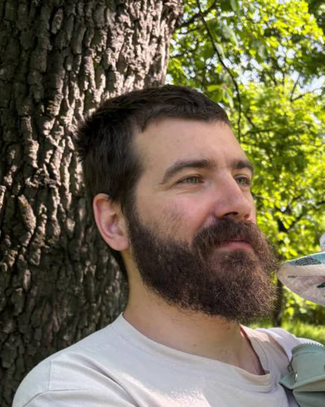 Petar Veselinović